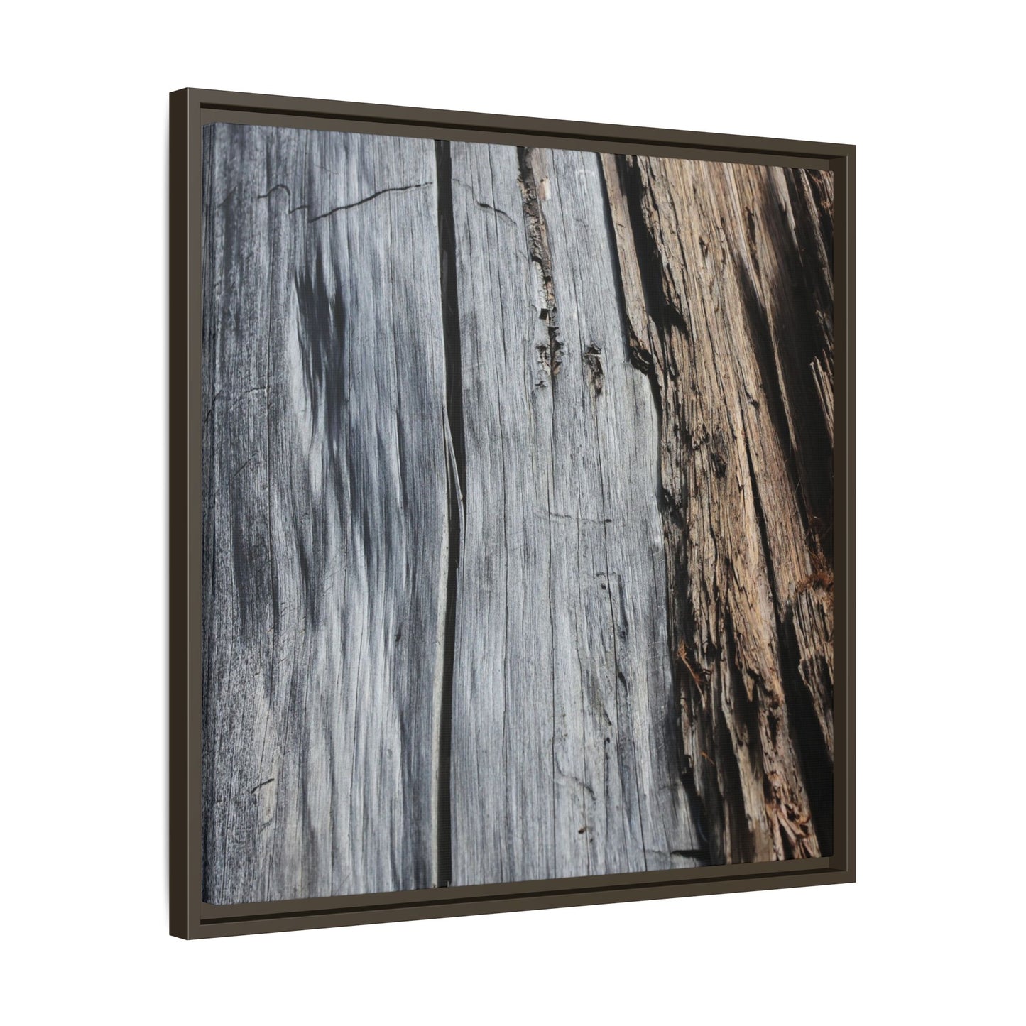 Wood's Lament - Unique Stretched Canvas Wall Art - Art By Earth