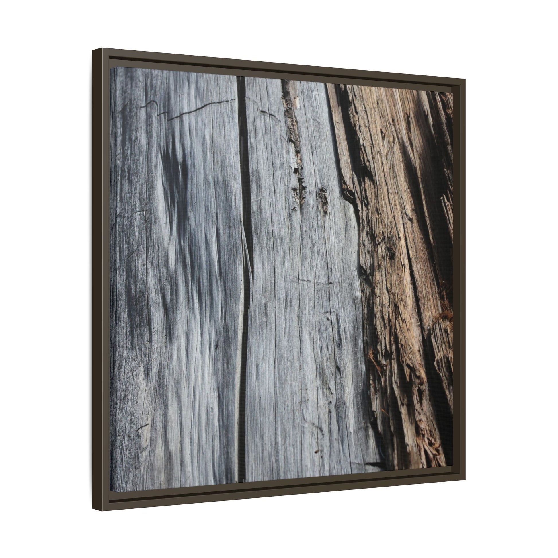 Wood's Lament - Unique Stretched Canvas Wall Art - Art By Earth