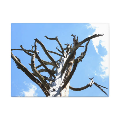 Skeletal Branches Reaching - Unique Frameless Canvas Wall Art - Art By Earth