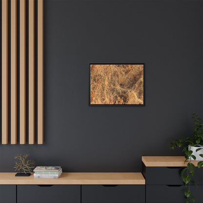 Dried Vegetation Study - Unique Stretched Canvas Wall Art - Art By Earth
