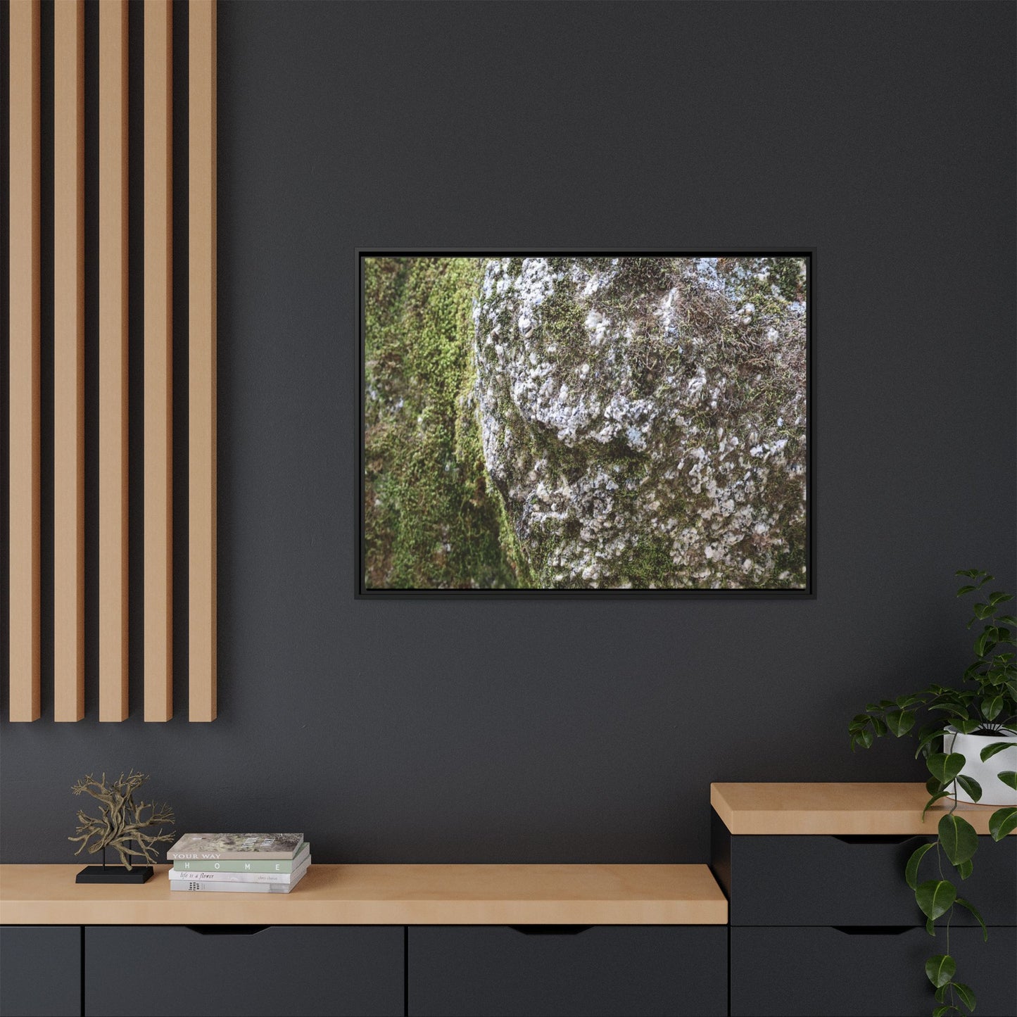 Lichen Landscape - Unique Stretched Canvas Wall Art - Art By Earth