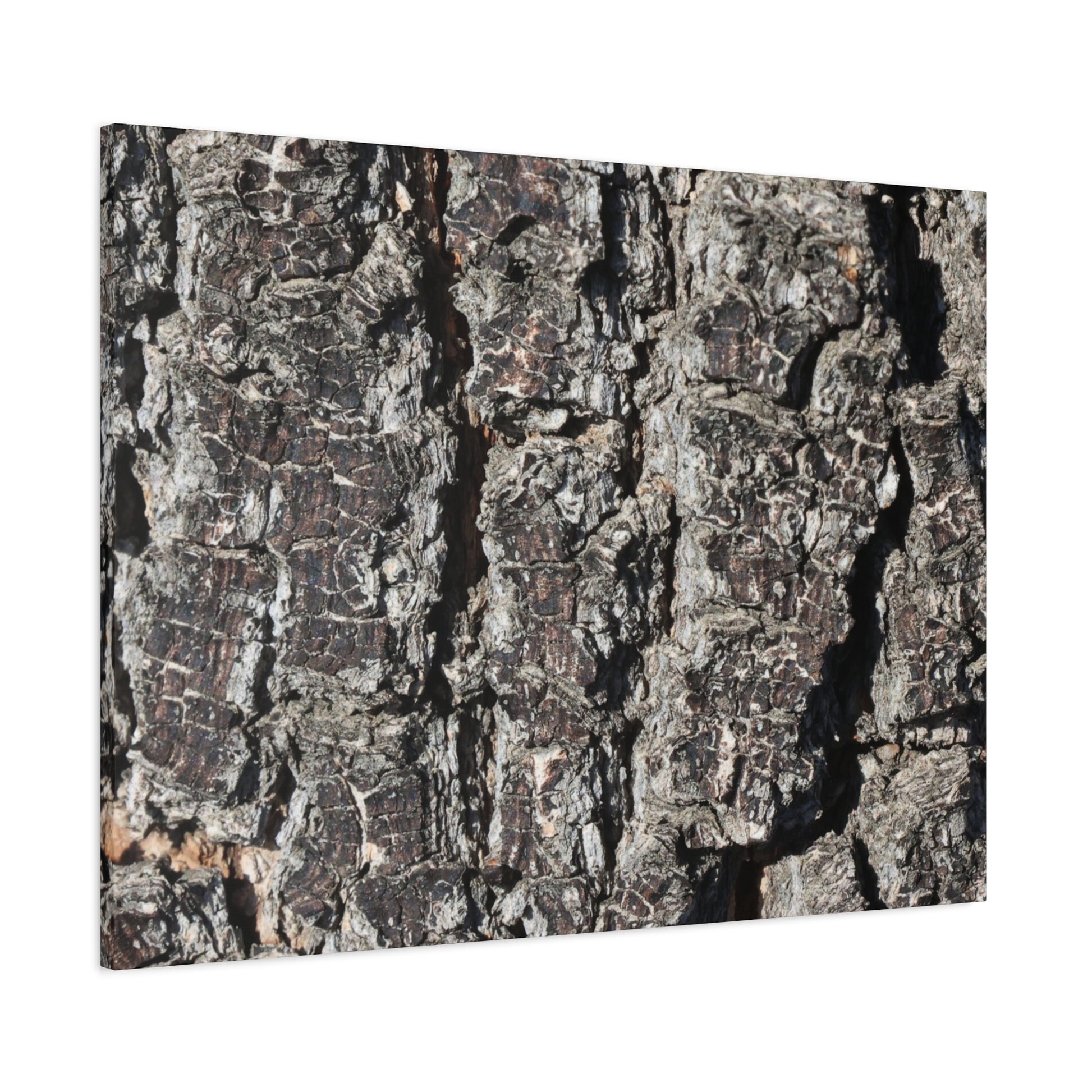 Cracked Skin of Earth - Unique Frameless Canvas Wall Art - Art By Earth