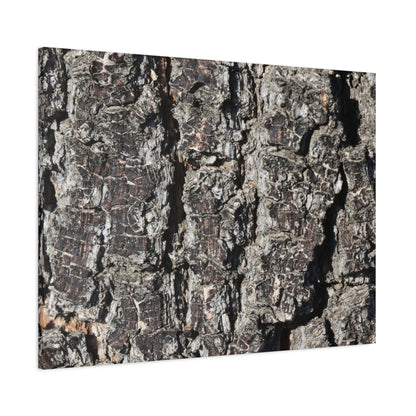 Cracked Skin of Earth - Unique Frameless Canvas Wall Art - Art By Earth