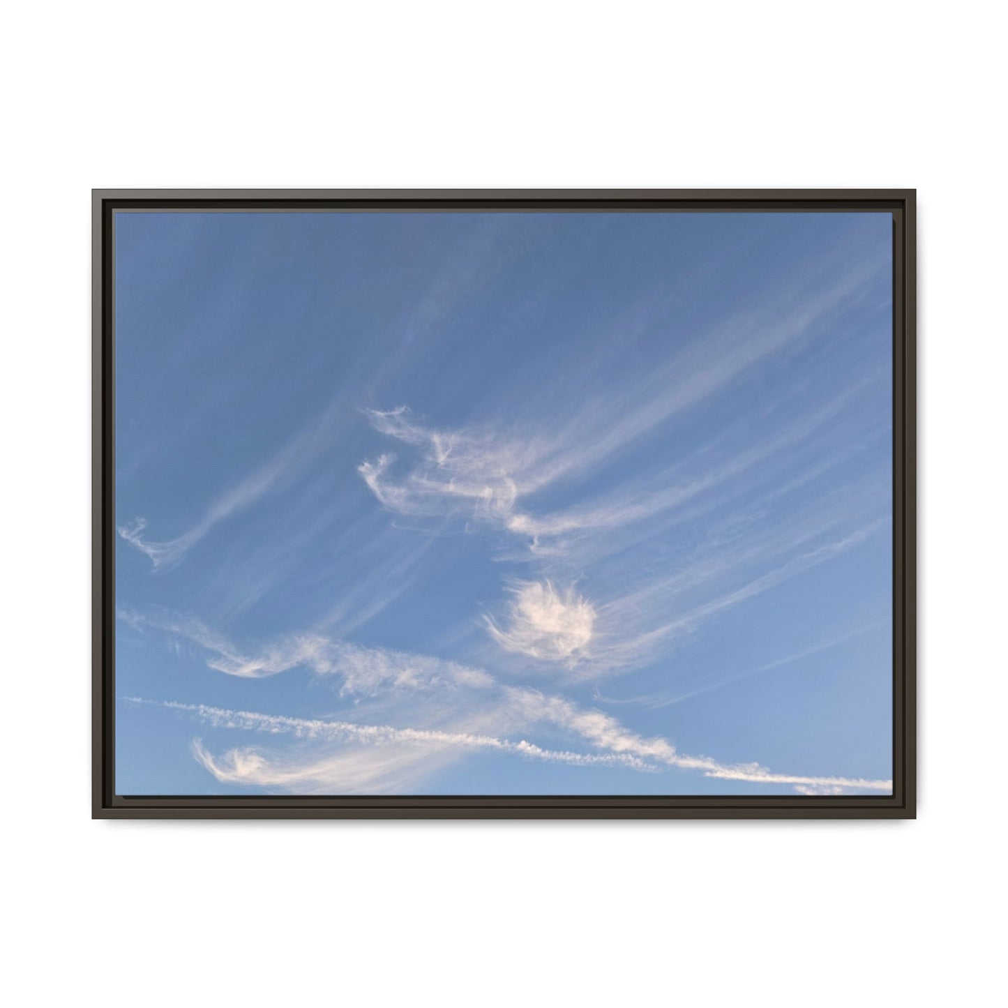 Wispy Dreams - Unique Stretched Canvas Wall Art - Art By Earth