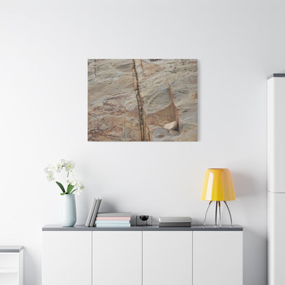 Cracked Canvas of Time - Unique Frameless Canvas Wall Art - Art By Earth