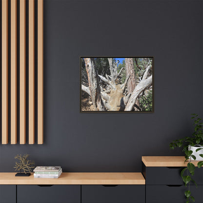 Forest Sentinels - Unique Stretched Canvas Wall Art