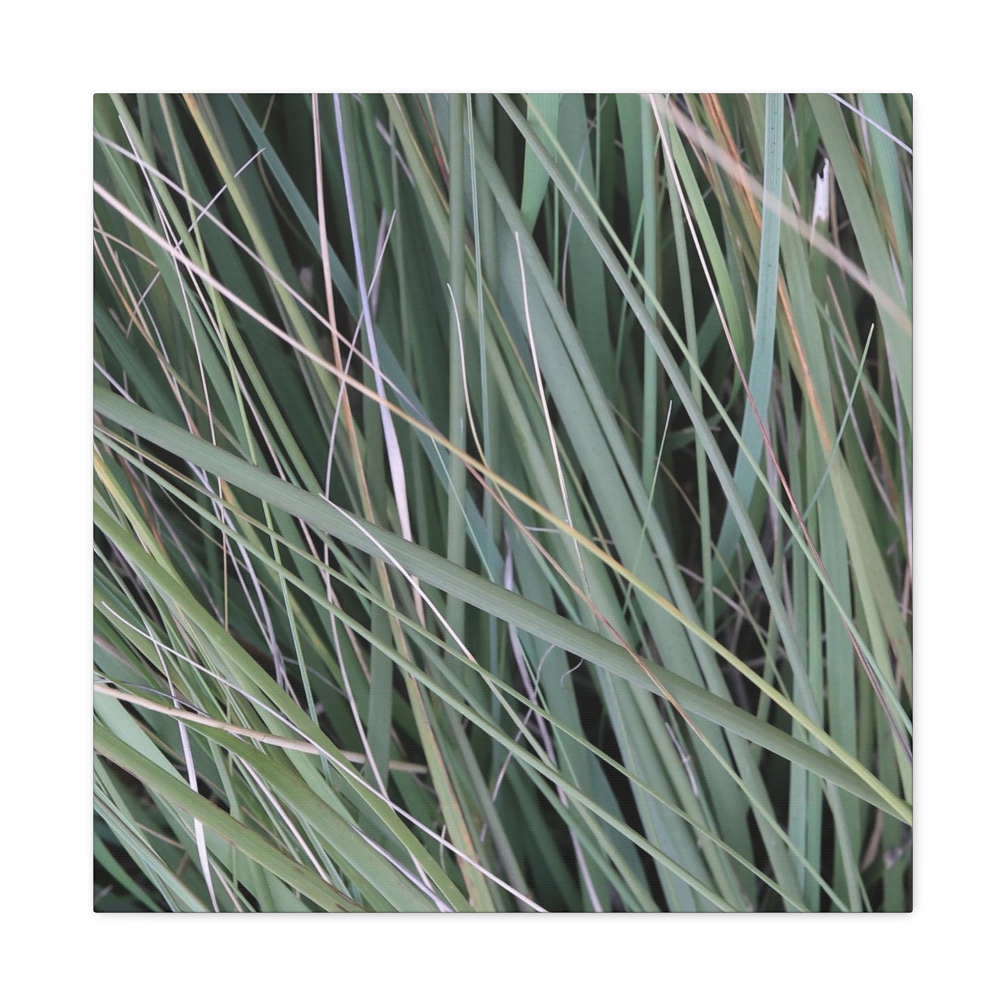 Whispers of Green - Unique Frameless Canvas Wall Art - Art By Earth