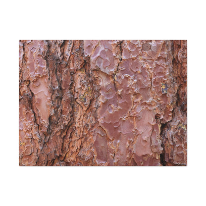 Rusty Textures - Unique Frameless Canvas Wall Art - Art By Earth