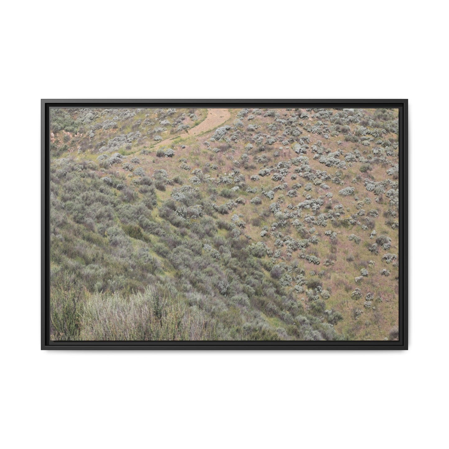 Arid Landscape with Winding Path - Unique Stretched Canvas Wall Art - Art By Earth