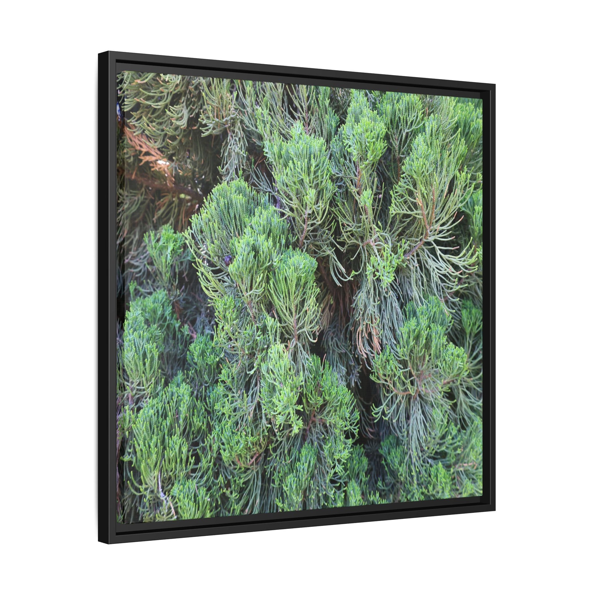 Verdant Whispers - Unique Stretched Canvas Wall Art - Art By Earth