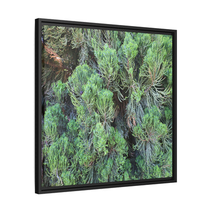 Verdant Whispers - Unique Stretched Canvas Wall Art - Art By Earth
