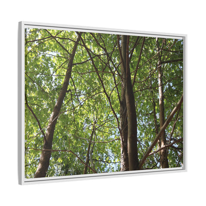 Forest Branches - Unique Stretched Canvas Wall Art