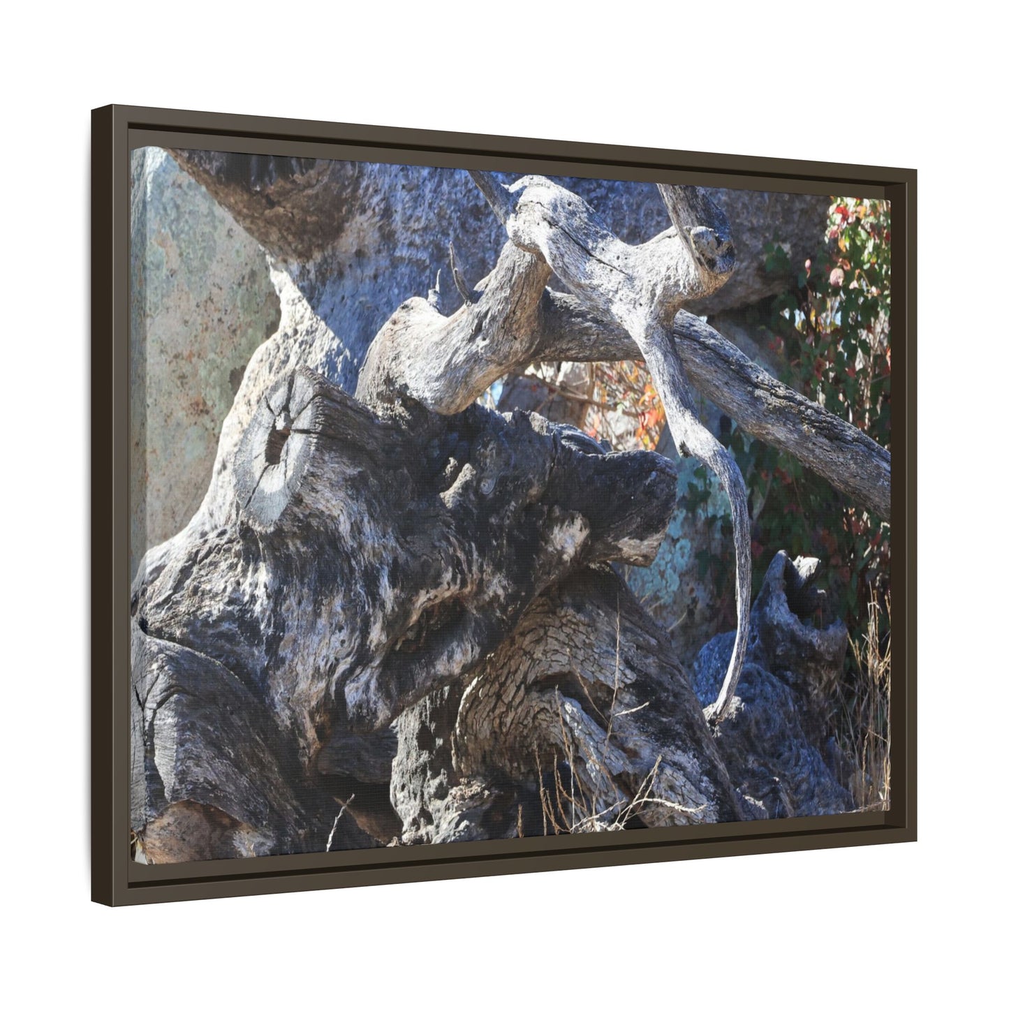 Resilient Roots - Unique Stretched Canvas Wall Art - Art By Earth