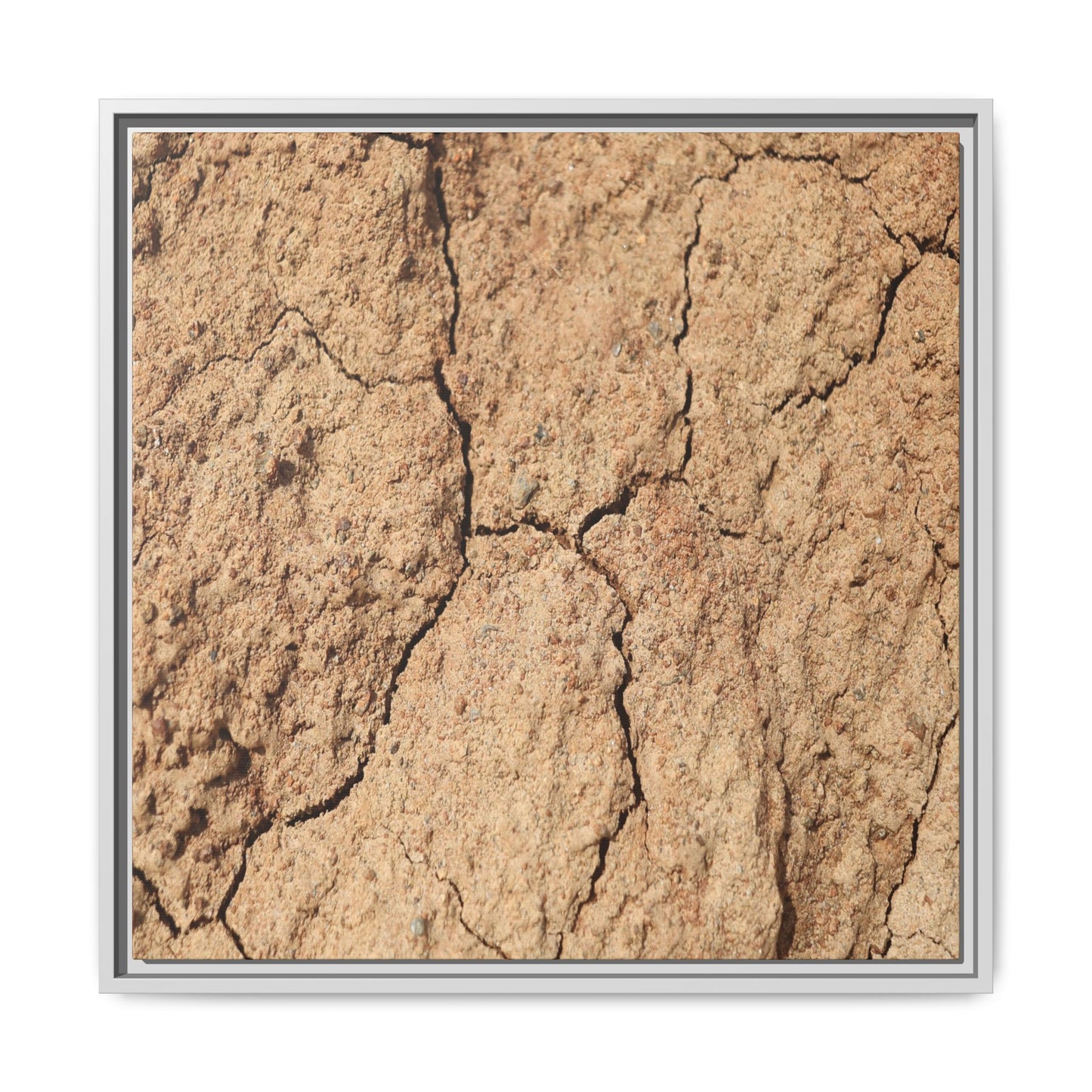 Parched Land - Unique Stretched Canvas Wall Art - Art By Earth