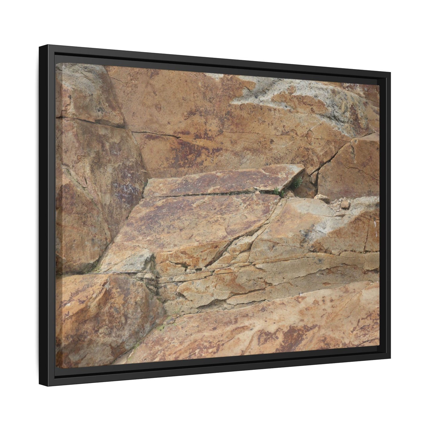 Ancient Foundations - Unique Stretched Canvas Wall Art - Art By Earth