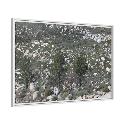 Rocky Hillside with Pine Trees - Unique Stretched Canvas Wall Art - Art By Earth