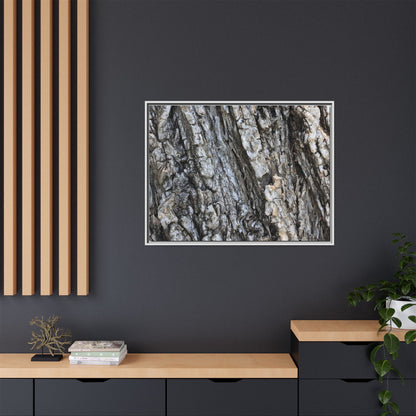 Twisted Textures - Unique Stretched Canvas Wall Art - Art By Earth