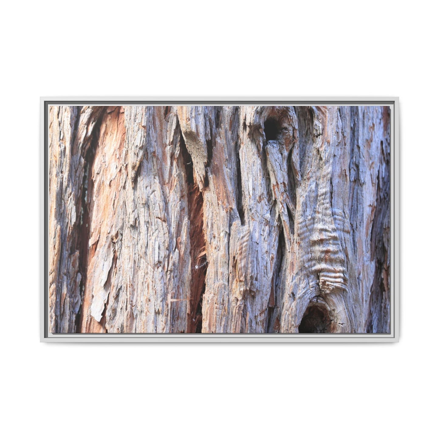 Nature's Grain - Unique Stretched Canvas Wall Art - Art By Earth