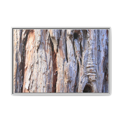 Nature's Grain - Unique Stretched Canvas Wall Art - Art By Earth