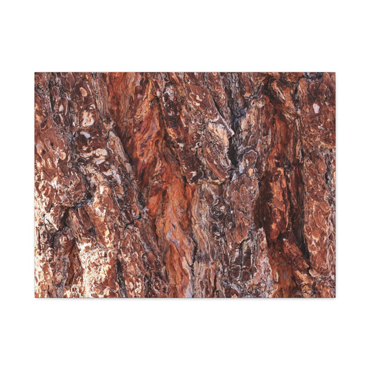 Rust and Ridges - Unique Frameless Canvas Wall Art