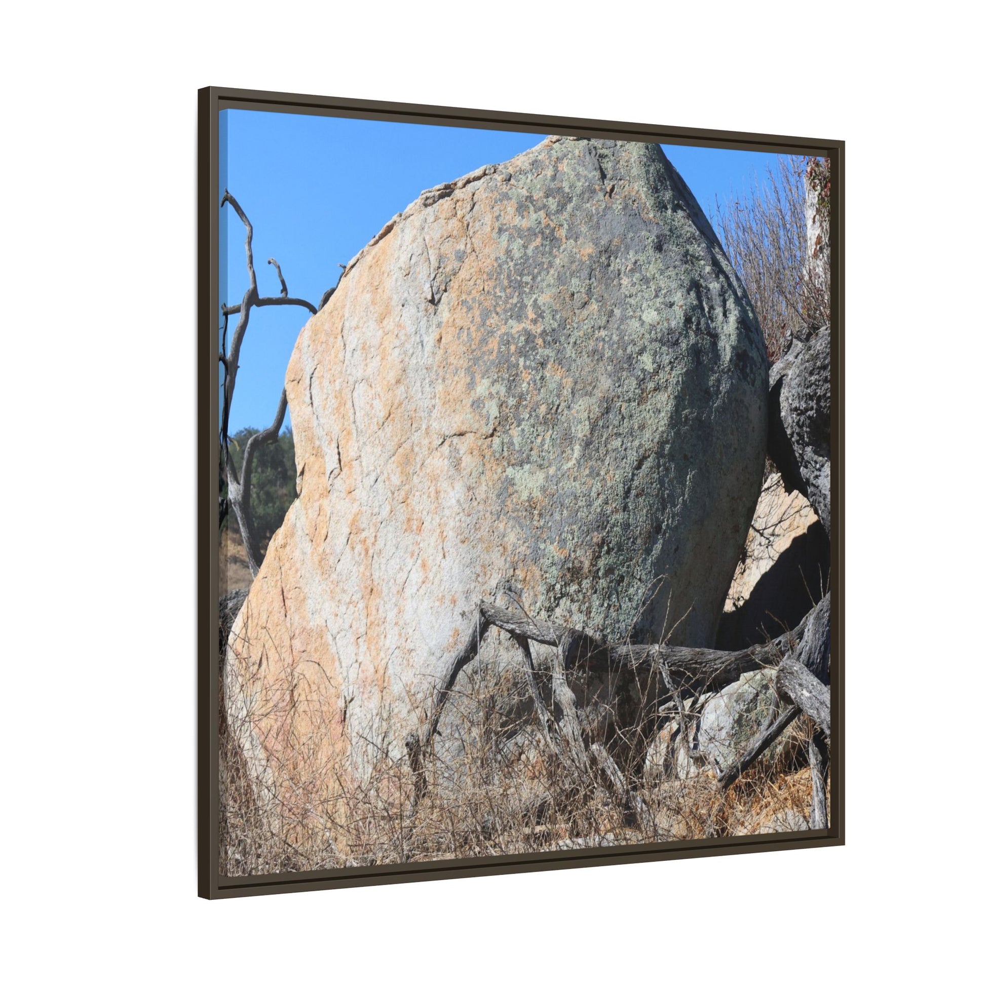 Stony Sentinel - Unique Stretched Canvas Wall Art - Art By Earth