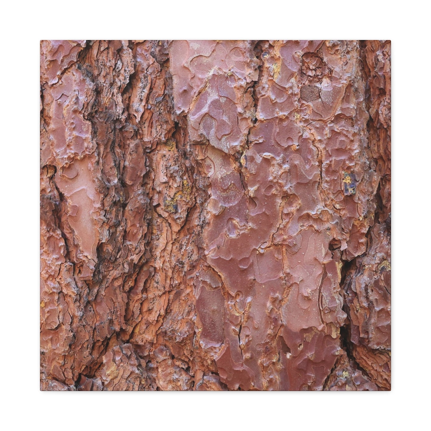 Rusty Textures - Unique Frameless Canvas Wall Art - Art By Earth