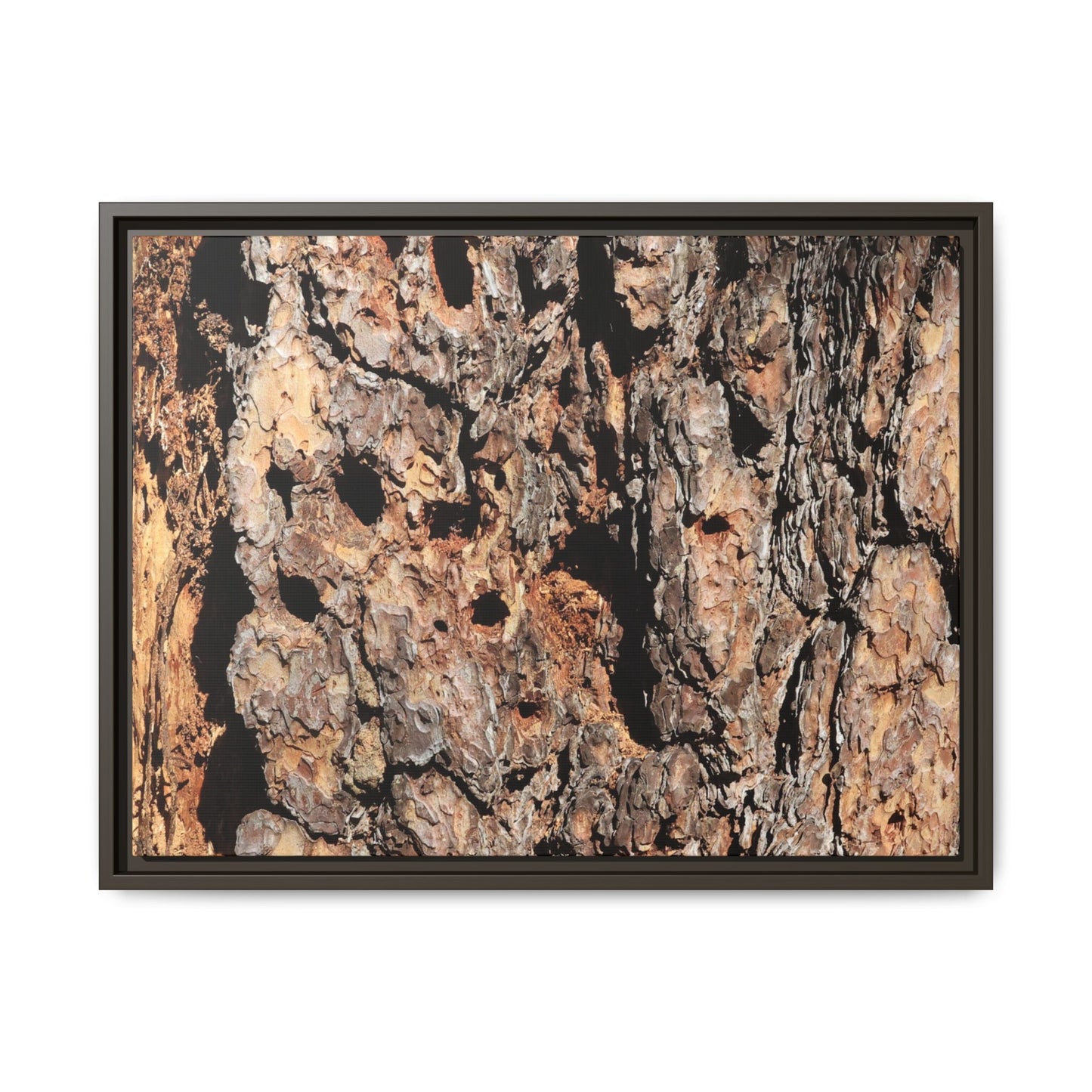 Rugged Rhythms - Unique Stretched Canvas Wall Art - Art By Earth