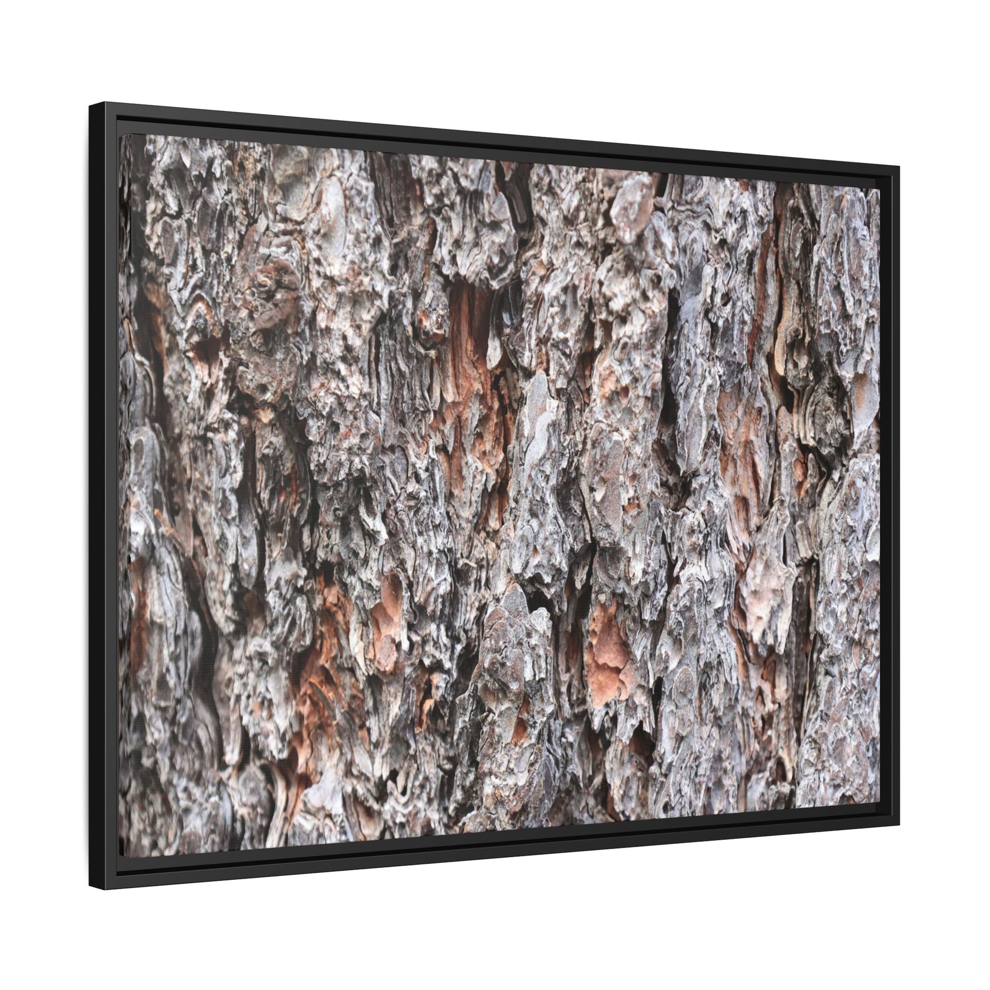 Rugged Cortex - Unique Stretched Canvas Wall Art - Art By Earth