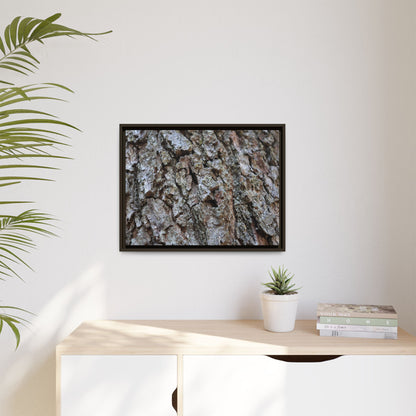 Woodland Canvas - Unique Stretched Canvas Wall Art - Art By Earth