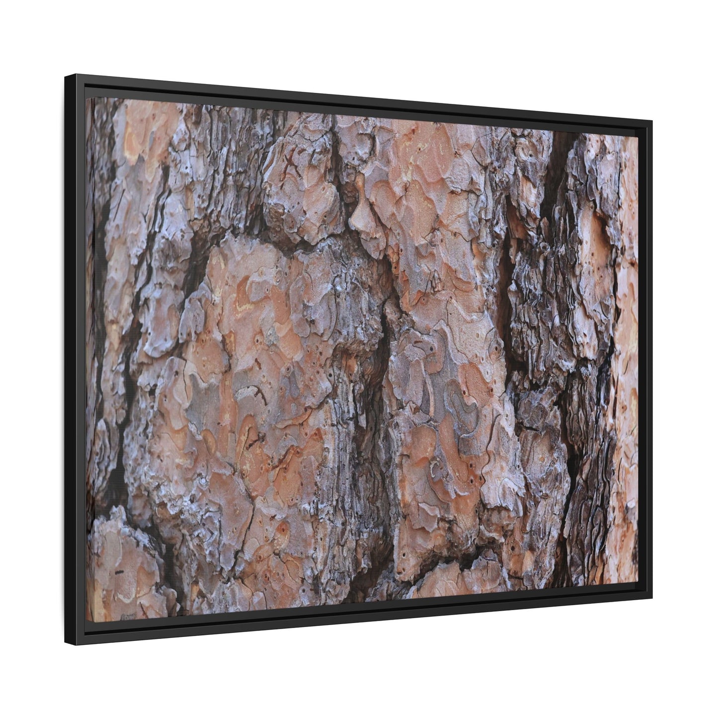 Tree Skin Symphony - Unique Stretched Canvas Wall Art - Art By Earth