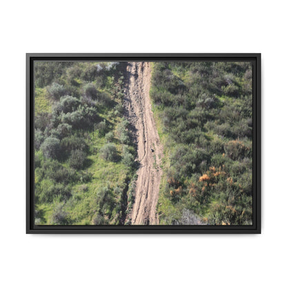 Desert Path Through Sage - Unique Stretched Canvas Wall Art - Art By Earth