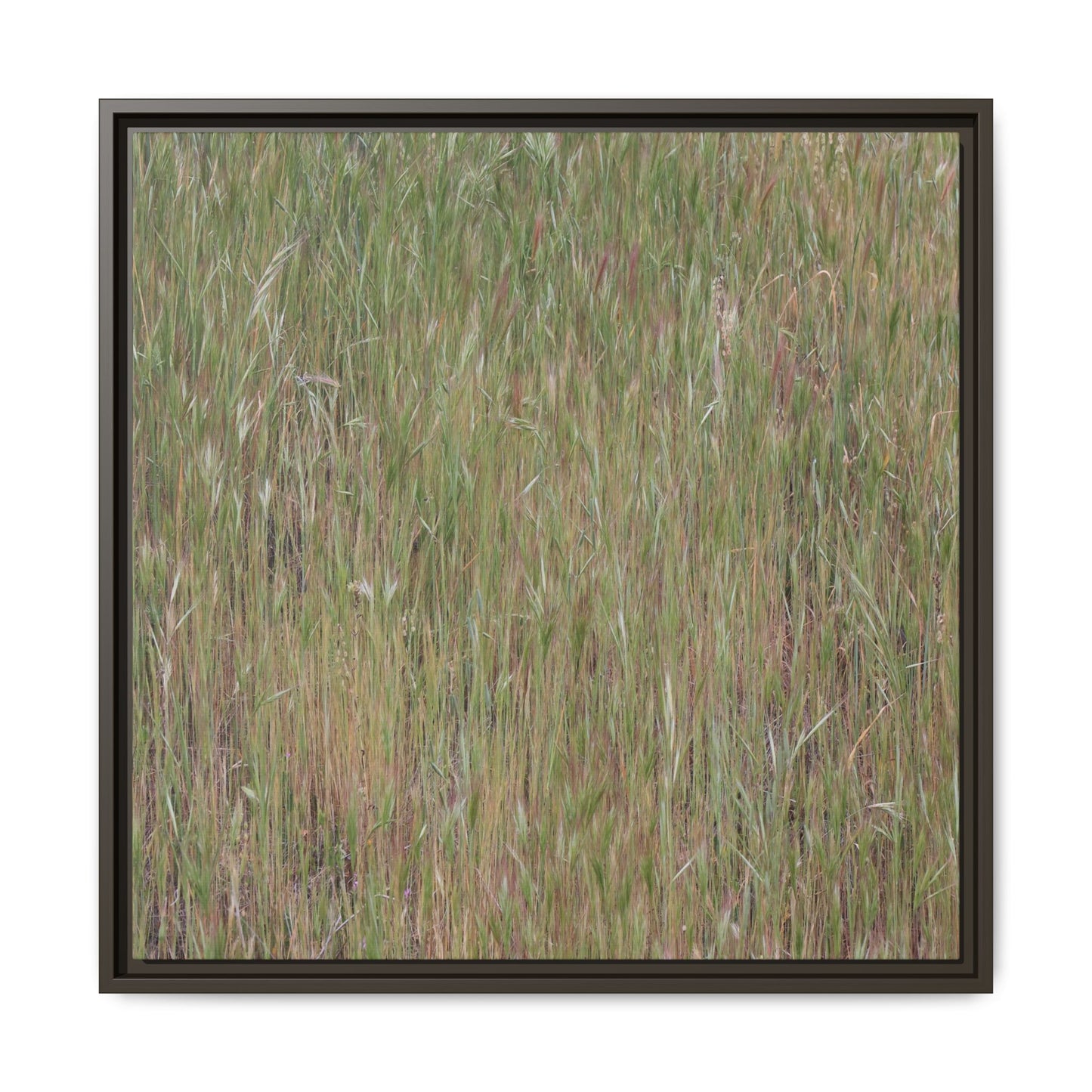 Field of Dreams - Unique Stretched Canvas Wall Art - Art By Earth