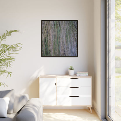 Whispers of Silver Grass - Unique Stretched Canvas Wall Art - Art By Earth
