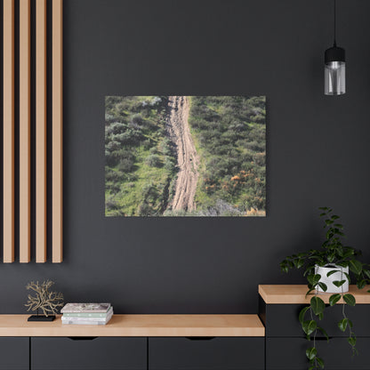 Straight Road Cutting Through Wilderness - Unique Frameless Canvas Wall Art - Art By Earth