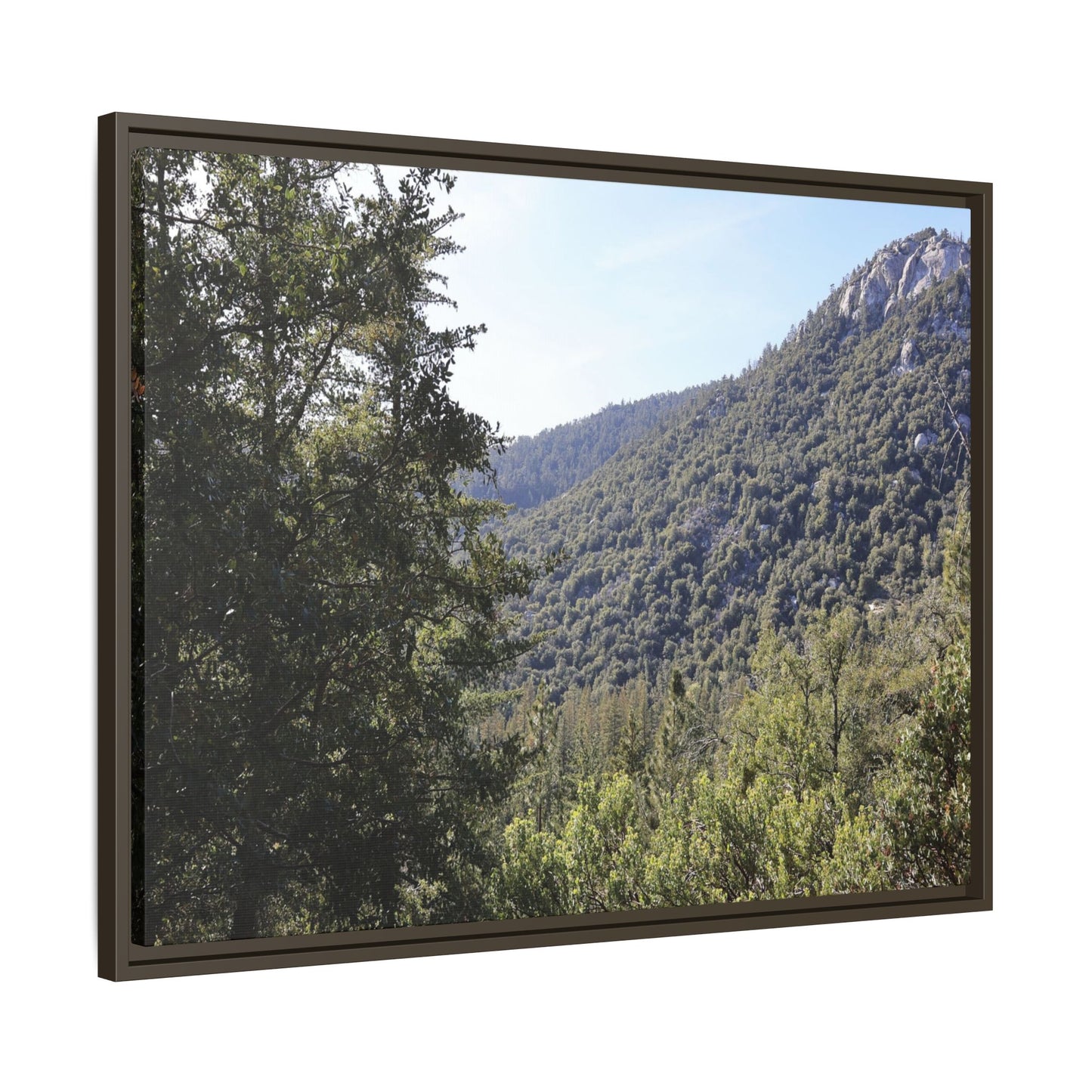 Mountain Valley Forest - Unique Stretched Canvas Wall Art