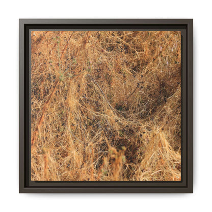 Dried Vegetation Study - Unique Stretched Canvas Wall Art - Art By Earth