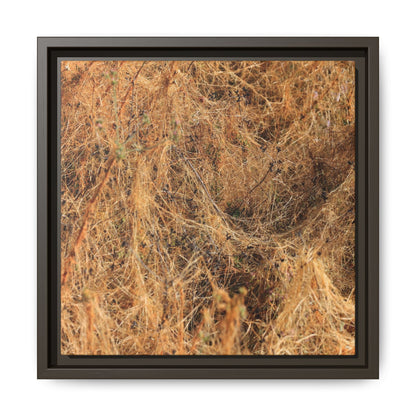 Dried Vegetation Study - Unique Stretched Canvas Wall Art - Art By Earth