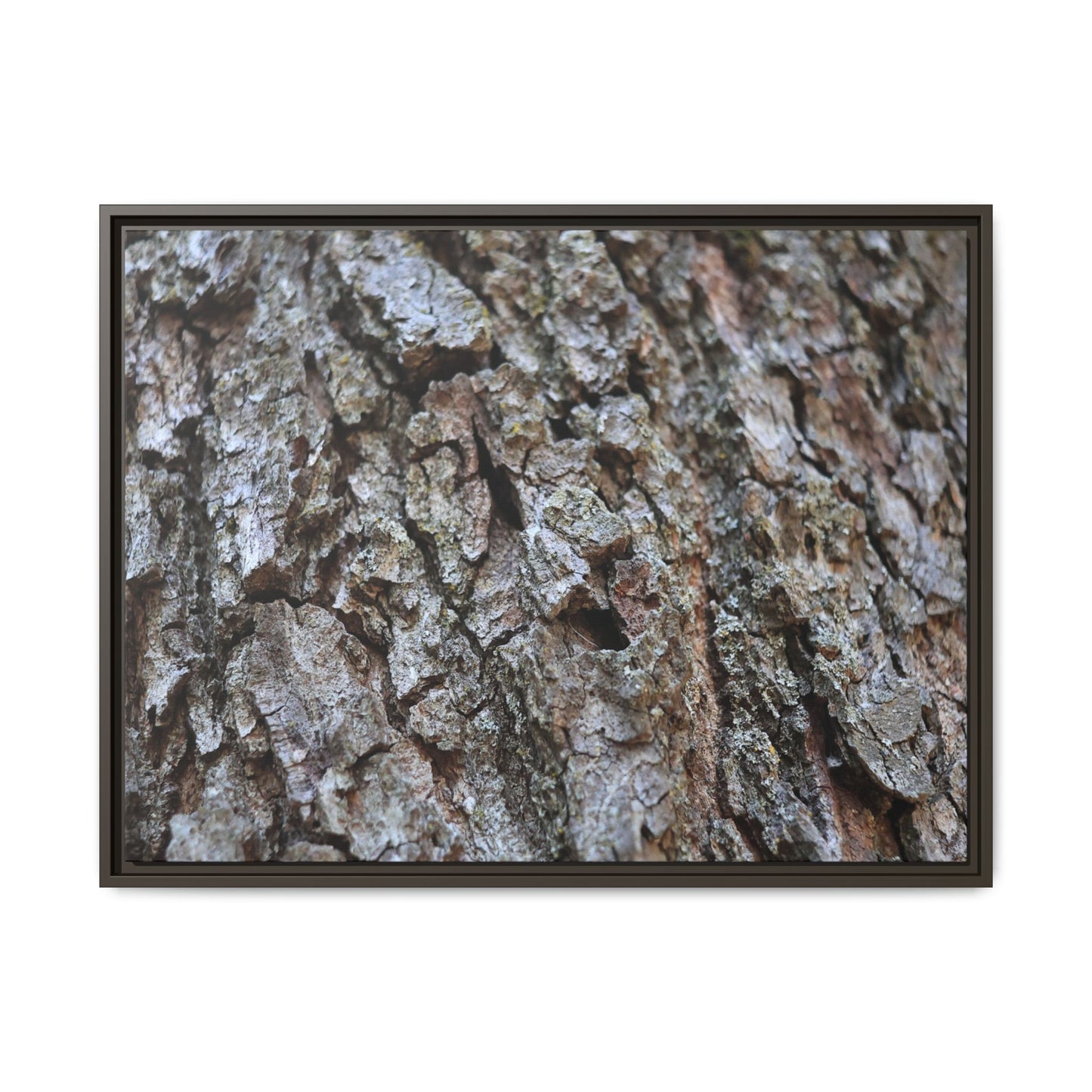 Woodland Canvas - Unique Stretched Canvas Wall Art - Art By Earth