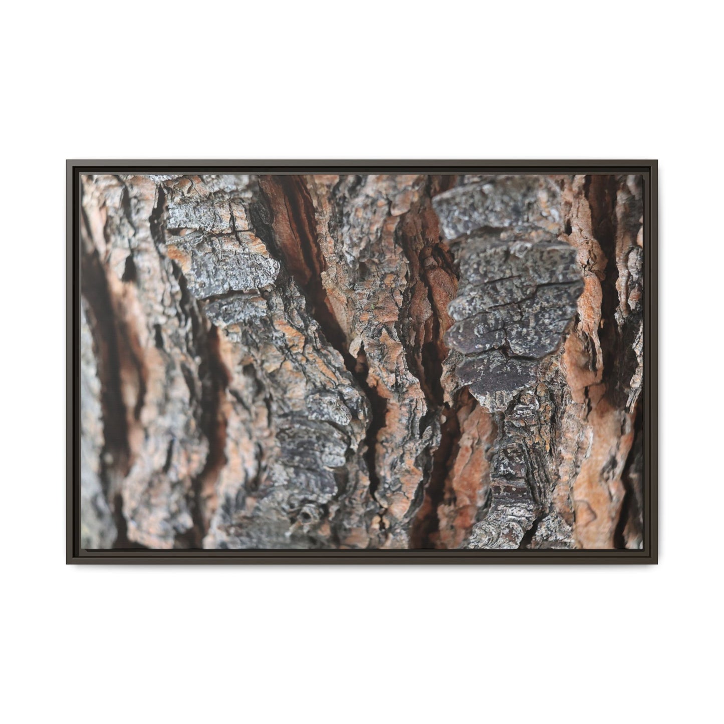Fractured Nature - Unique Stretched Canvas Wall Art - Art By Earth
