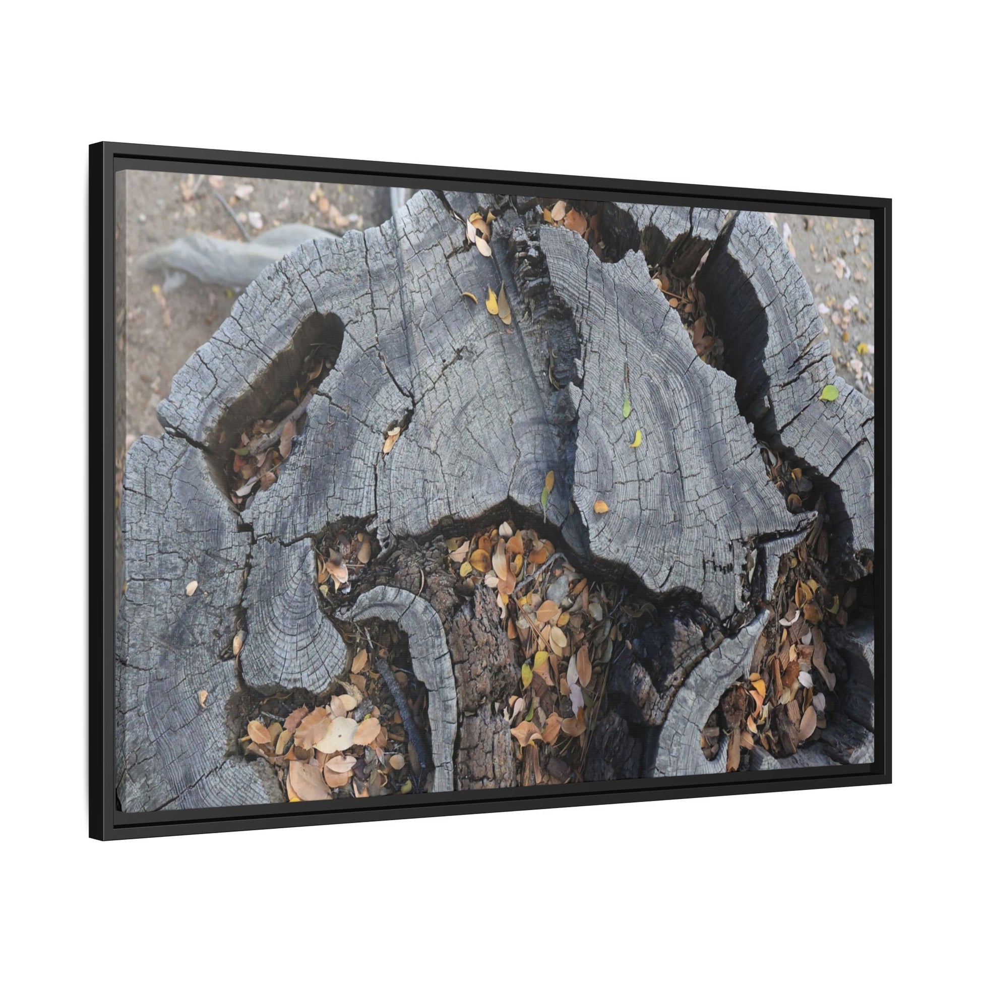 Time's Fractal Memory - Unique Stretched Canvas Wall Art - Art By Earth