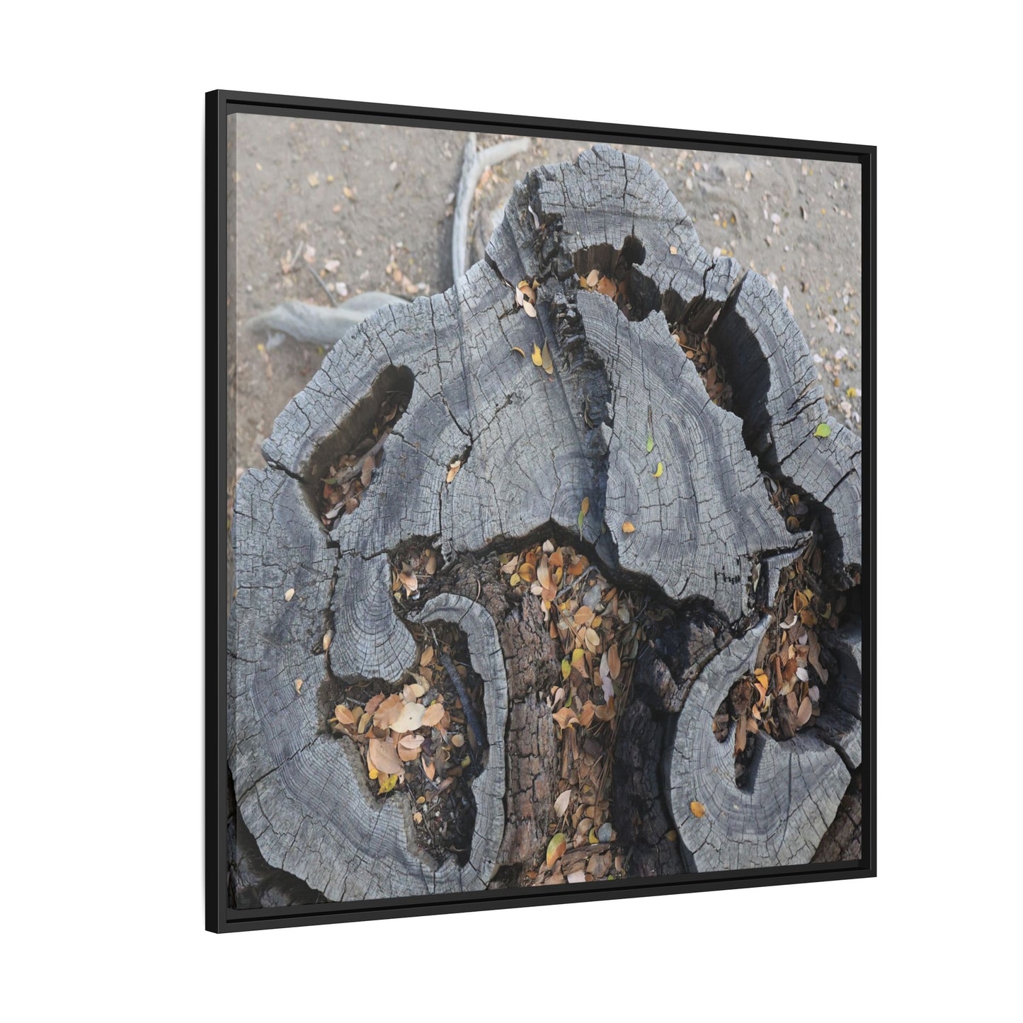 Time's Fractal Memory - Unique Stretched Canvas Wall Art - Art By Earth