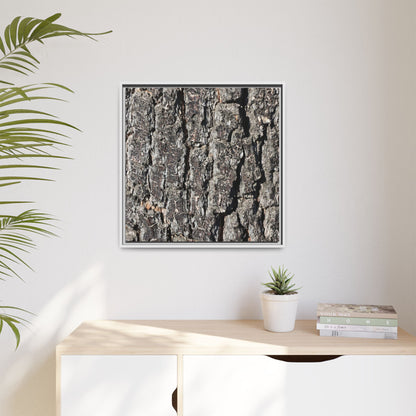 Bark Study in Gray - Unique Stretched Canvas Wall Art - Art By Earth