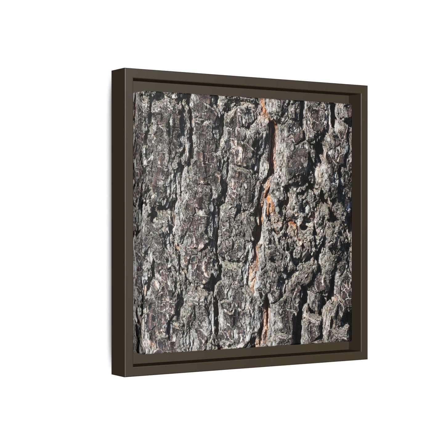 Aged Beauty - Unique Stretched Canvas Wall Art - Art By Earth