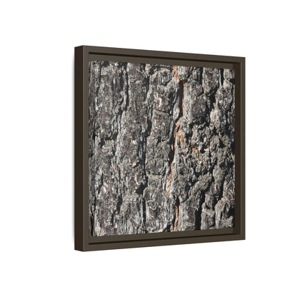 Aged Beauty - Unique Stretched Canvas Wall Art - Art By Earth