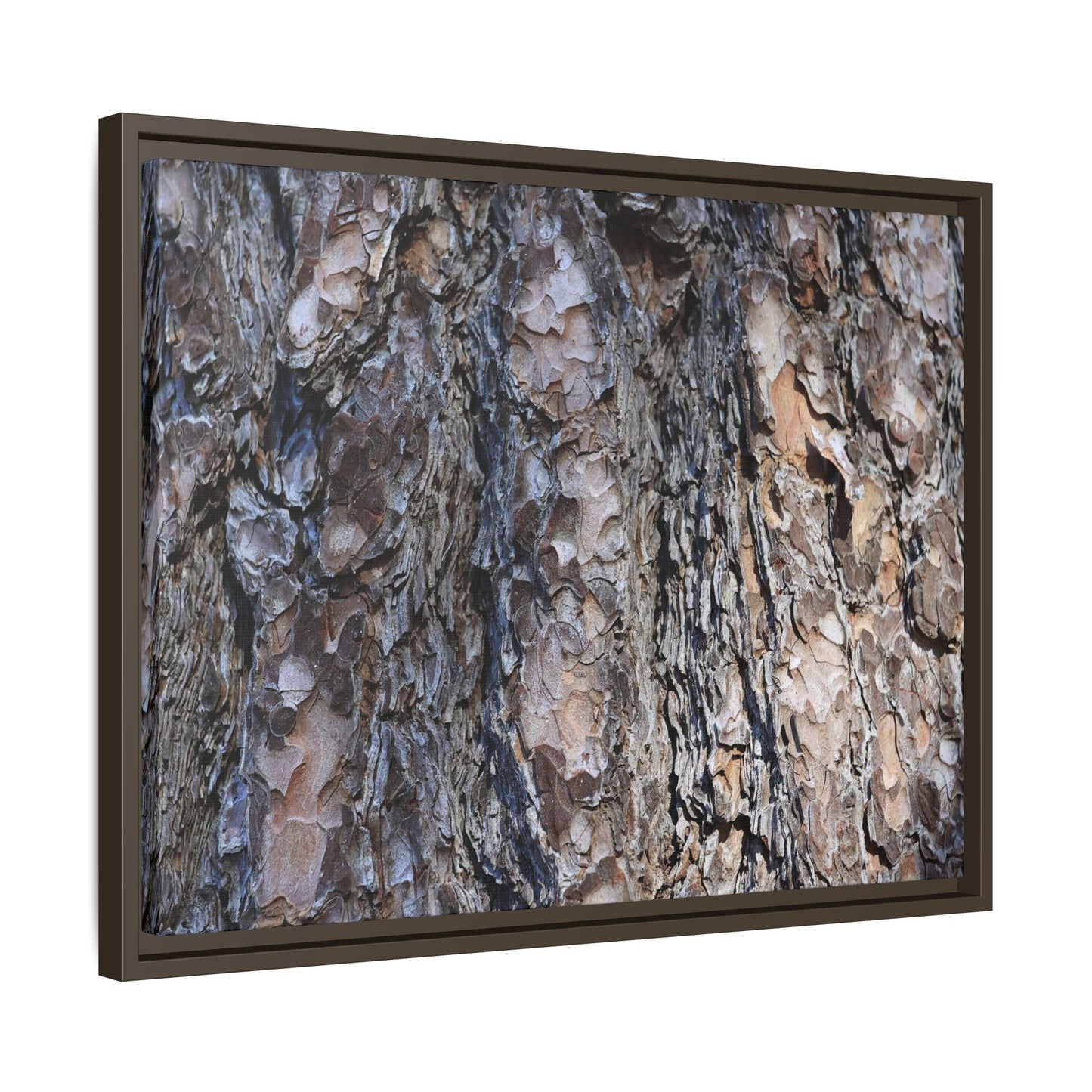 Weathered Patterns - Unique Stretched Canvas Wall Art - Art By Earth