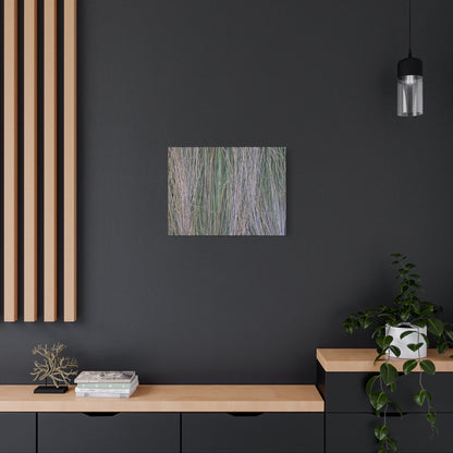 Whispers of Grass - Unique Frameless Canvas Wall Art - Art By Earth