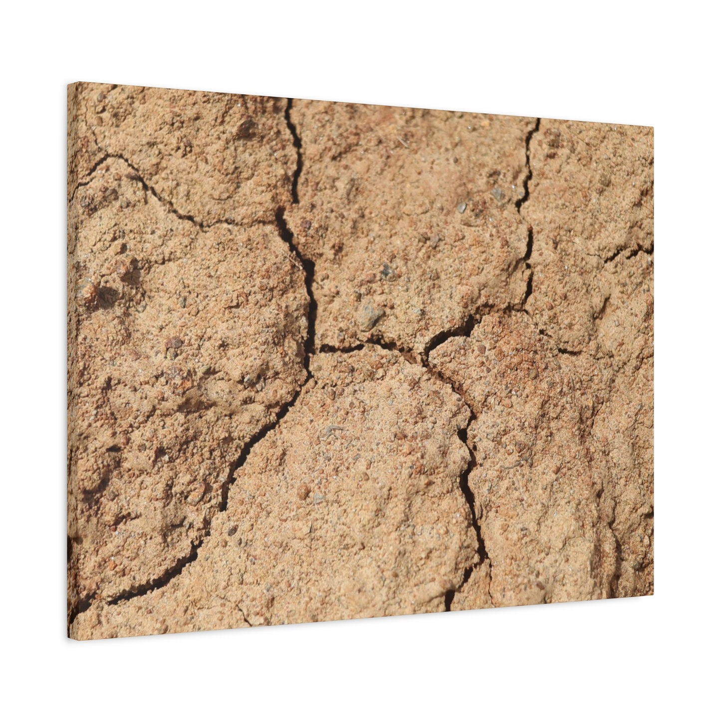 Cracked Earth's Lament - Unique Frameless Canvas Wall Art - Art By Earth