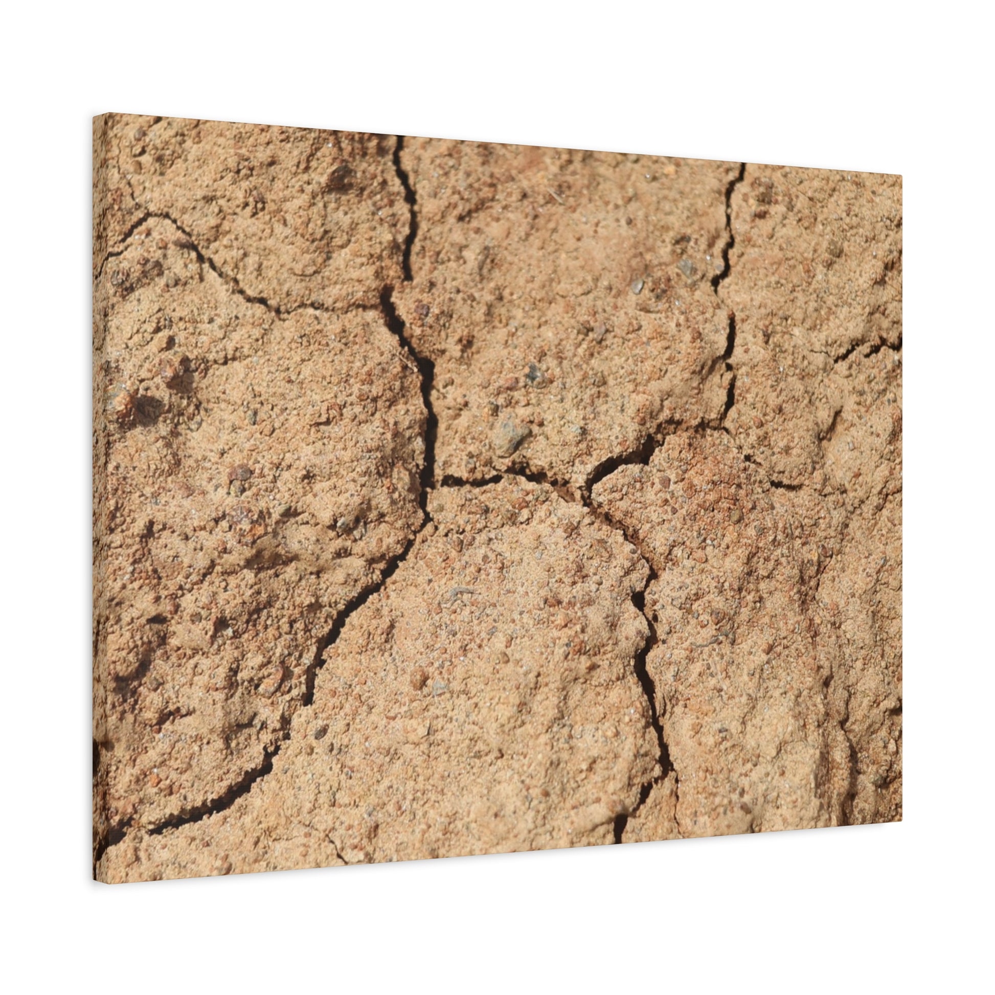 Cracked Earth's Lament - Unique Frameless Canvas Wall Art - Art By Earth