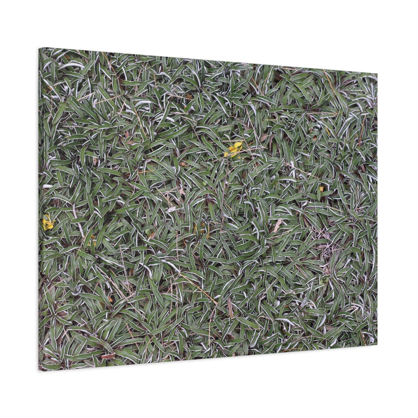 Tangled Memories - Unique Frameless Canvas Wall Art - Art By Earth