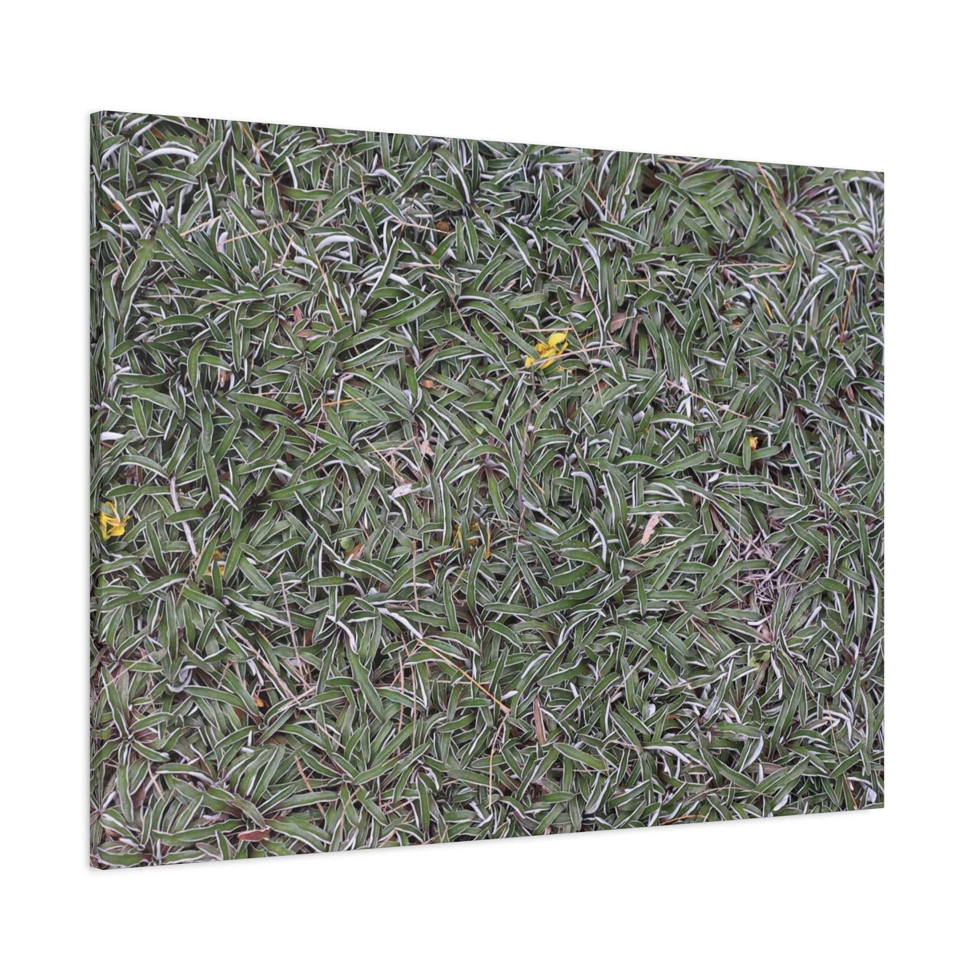 Tangled Memories - Unique Frameless Canvas Wall Art - Art By Earth